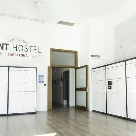 Ant Hostal