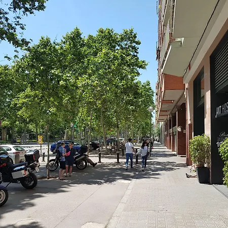 Ant Hostal