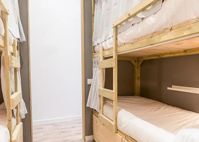 Ant Albergue