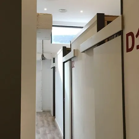 앤트 *