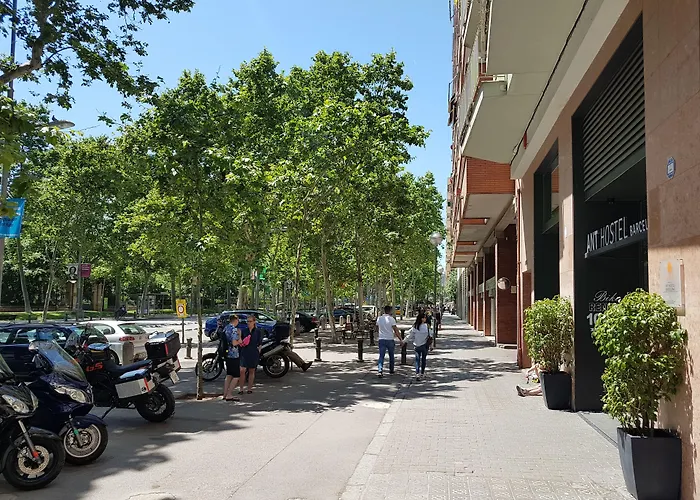 巴塞罗那蚂蚁旅舍 旅馆