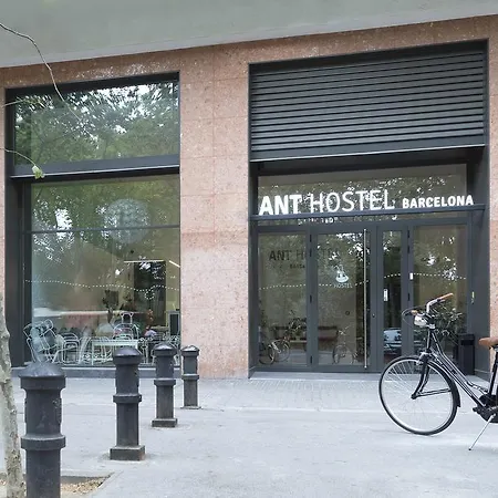 Ant *