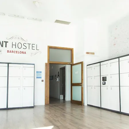 Ant Hostal *