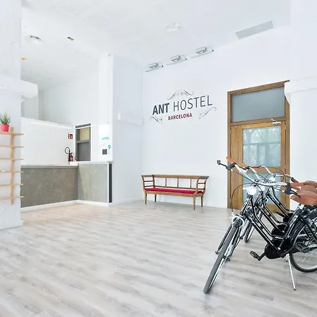 Ant *
